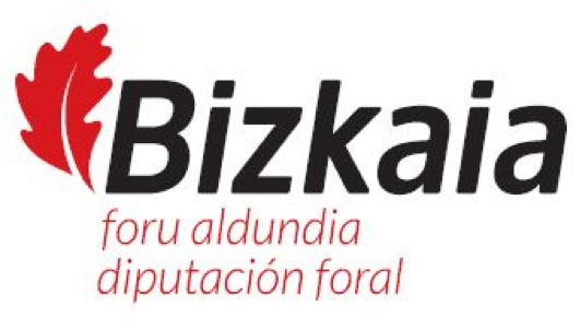 Diputación Foral del Bizkaia
